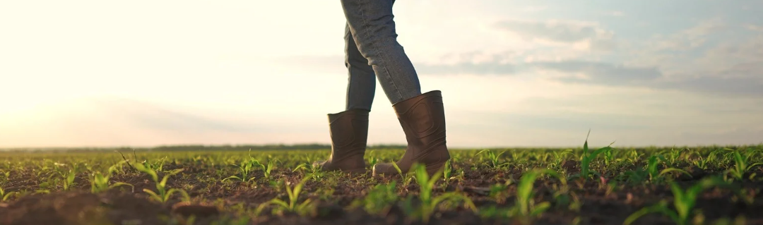 CAMBIAMO ROTTA: sfide e prospettive per il futuro agricolo del Lodigiano